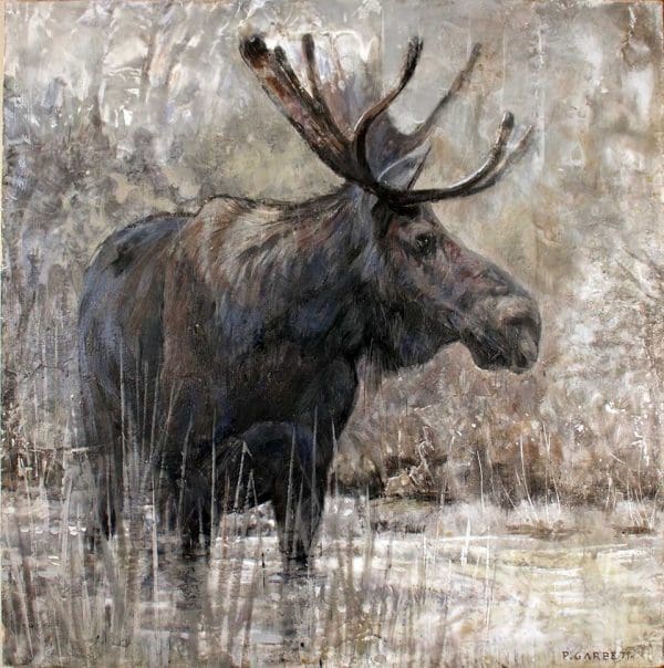 Algonquin Moose (61-08) Paul Garbett