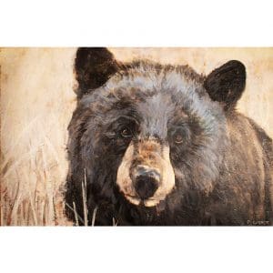 Bear 63-01 copy