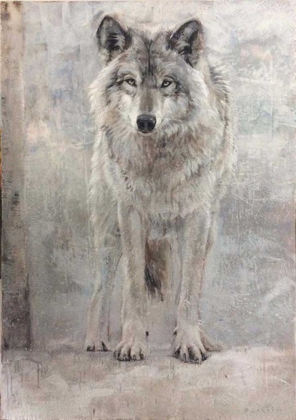 Lone Wolf (60-11) Paul Garbett