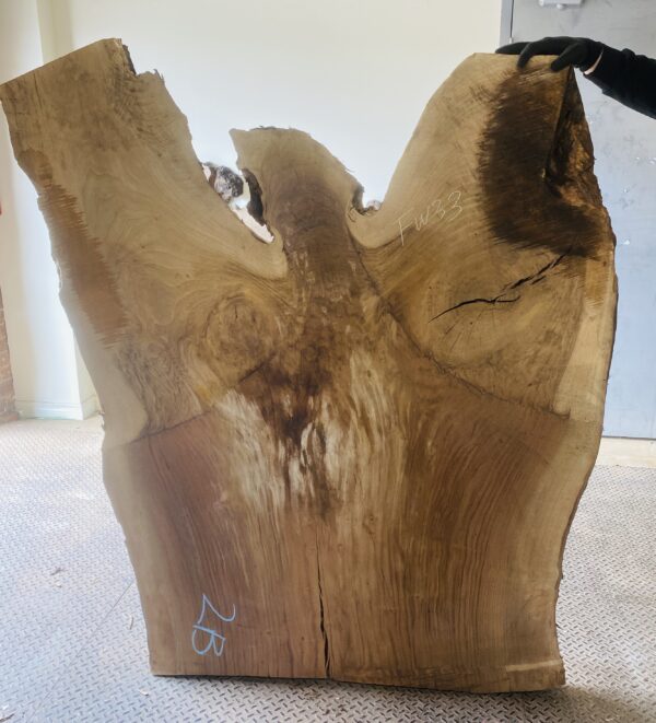 Claro Walnut Grafted Black Walnut 51″ X 62″ X 3″