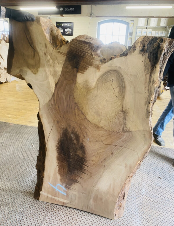 Claro Walnut Grafted Black Walnut 33″ X 52″ X 2″