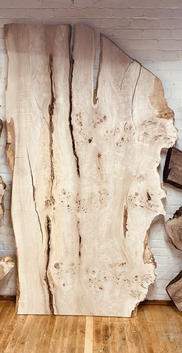 MAPPA BURL SLAB 88″ X 50″ X 1 3/4″