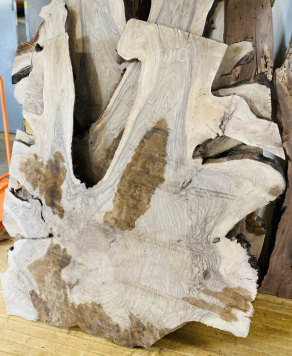English Walnut 61″ X 51″ X 1 3/4″