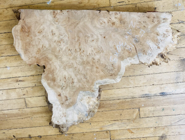 CALIFORNIA COTTONWOOD 24″ X 30″ X 3″