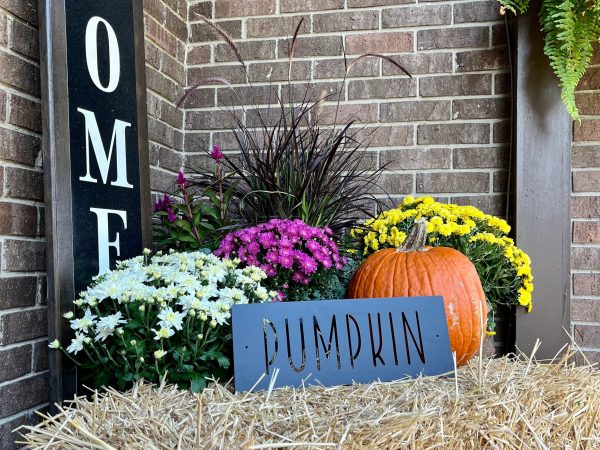 Flat Pumpkin