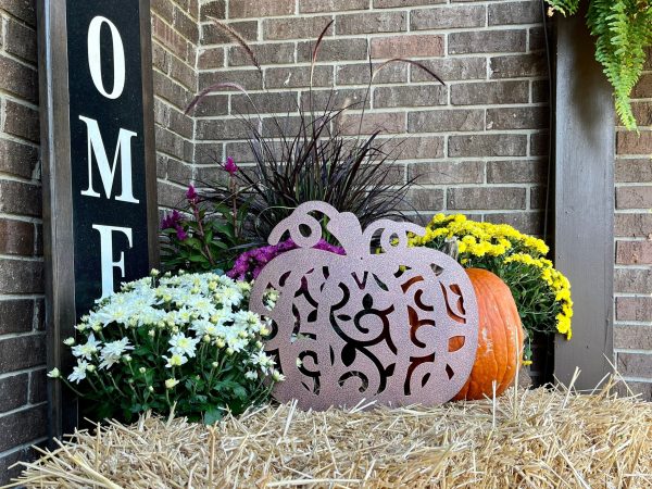 Vine Pumpkin
