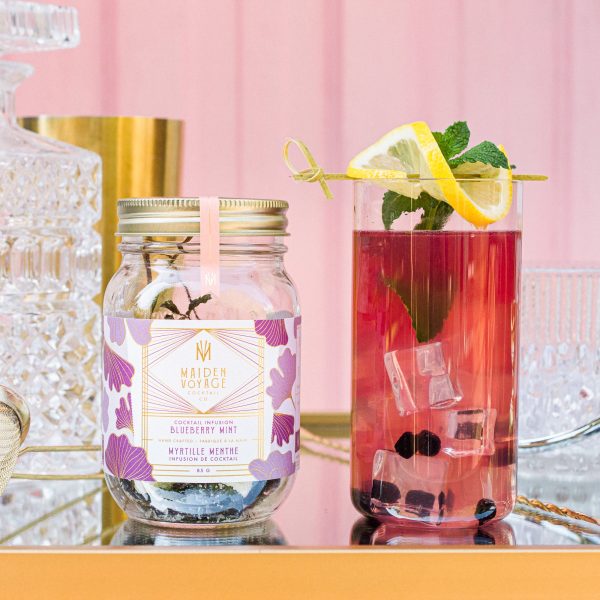 Blueberry Mint Cocktail Infusion Kit