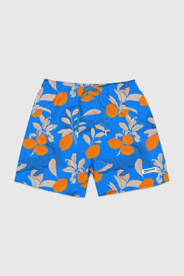 Swim Short